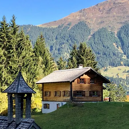 Chalet Alpenapart Montafon - Bitschweil Huesle