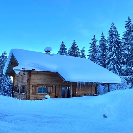 Alpenapart Montafon - Bitschweil Hüsle Chalet *